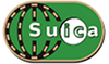 Suica